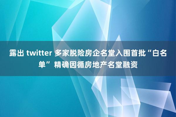 露出 twitter 多家脱险房企名堂入围首批“白名单” 精确因循房地产名堂融资