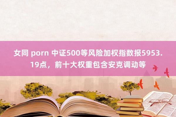 女同 porn 中证500等风险加权指数报5953.19点，前十大权重包含安克调动等