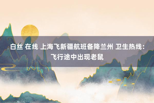 白丝 在线 上海飞新疆航班备降兰州 卫生热线：飞行途中出现老鼠