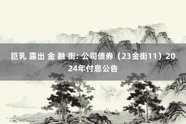 巨乳 露出 金 融 街: 公司债券（23金街11）2024年付息公告