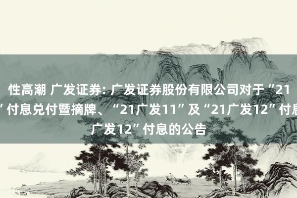 性高潮 广发证券: 广发证券股份有限公司对于“21广发10”付息兑付暨摘牌、“21广发11”及“21广发12”付息的公告