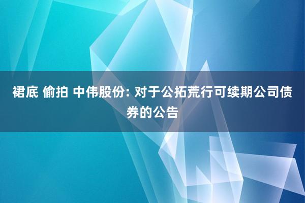 裙底 偷拍 中伟股份: 对于公拓荒行可续期公司债券的公告