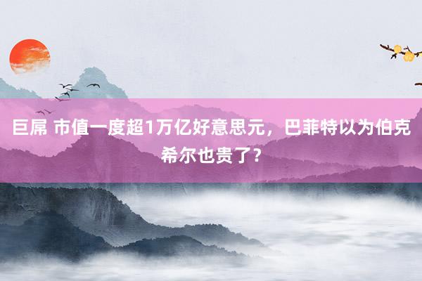 巨屌 市值一度超1万亿好意思元，巴菲特以为伯克希尔也贵了？