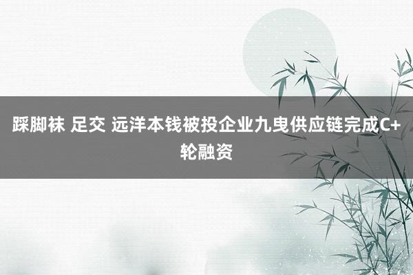 踩脚袜 足交 远洋本钱被投企业九曳供应链完成C+轮融资