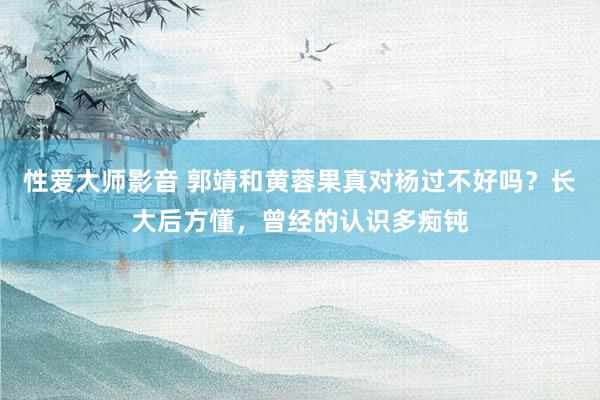 性爱大师影音 郭靖和黄蓉果真对杨过不好吗？长大后方懂，曾经的认识多痴钝