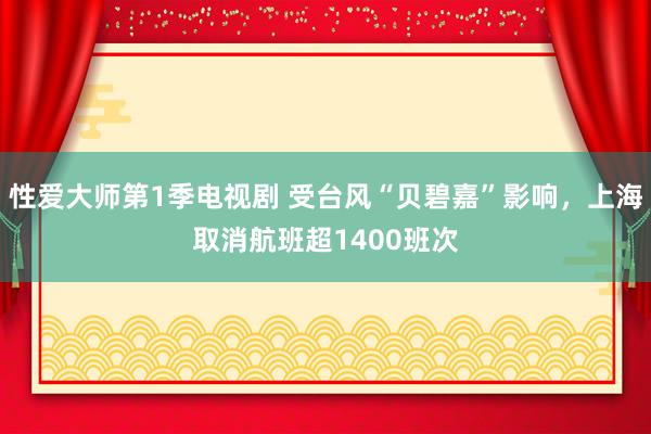 性爱大师第1季电视剧 受台风“贝碧嘉”影响，上海取消航班超1400班次