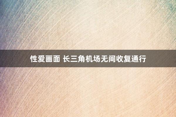 性爱画面 长三角机场无间收复通行