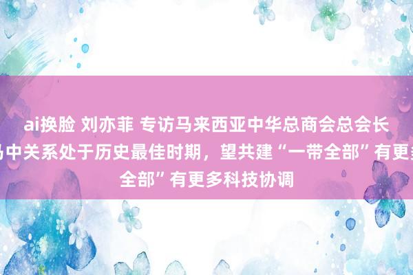 ai换脸 刘亦菲 专访马来西亚中华总商会总会长卢玉成：马中关系处于历史最佳时期，望共建“一带全部”有更多科技协调