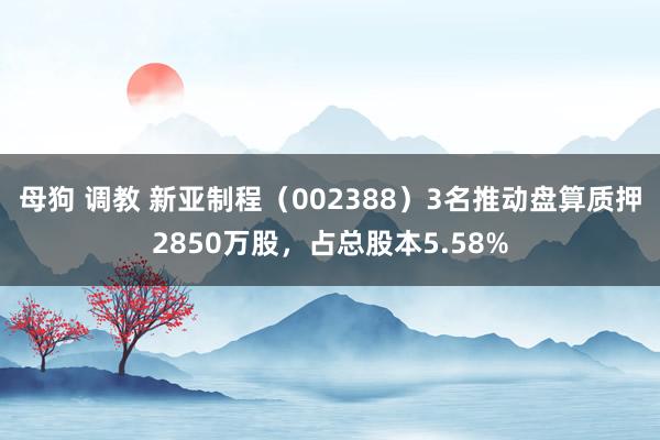 母狗 调教 新亚制程（002388）3名推动盘算质押2850万股，占总股本5.58%