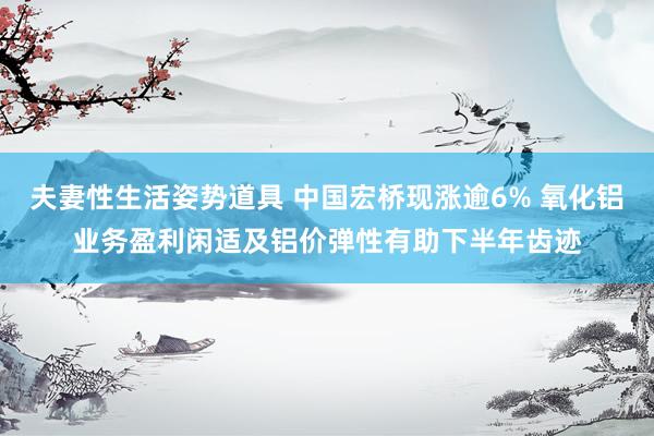 夫妻性生活姿势道具 中国宏桥现涨逾6% 氧化铝业务盈利闲适及铝价弹性有助下半年齿迹