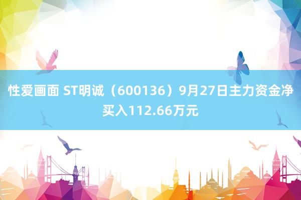 性爱画面 ST明诚（600136）9月27日主力资金净买入112.66万元