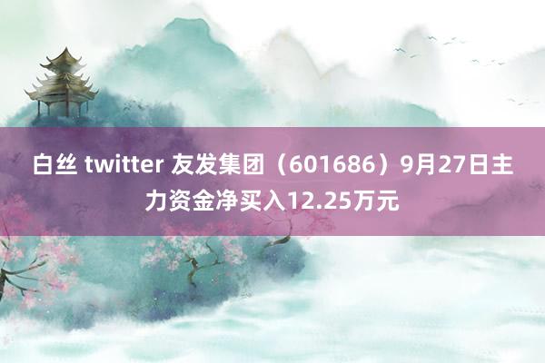 白丝 twitter 友发集团（601686）9月27日主力资金净买入12.25万元