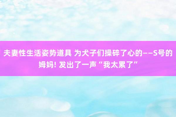 夫妻性生活姿势道具 为犬子们操碎了心的——S号的姆妈! 发出了一声“我太累了”