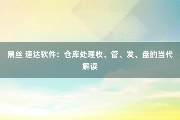 黑丝 速达软件：仓库处理收、管、发、盘的当代解读