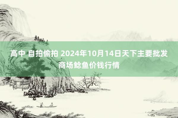 高中 自拍偷拍 2024年10月14日天下主要批发商场鲶鱼价钱行情