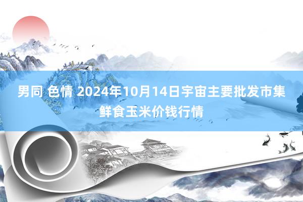 男同 色情 2024年10月14日宇宙主要批发市集鲜食玉米价钱行情