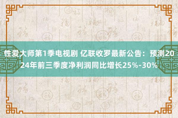 性爱大师第1季电视剧 亿联收罗最新公告：预测2024年前三季度净利润同比增长25%-30%