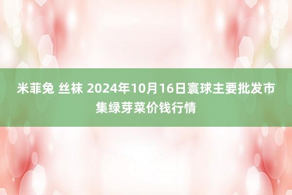 米菲兔 丝袜 2024年10月16日寰球主要批发市集绿芽菜价钱行情