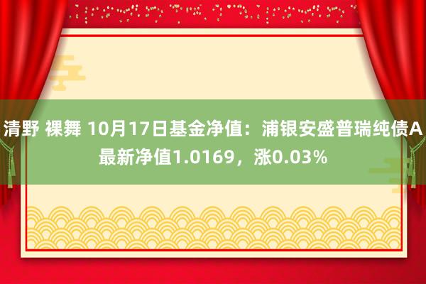 清野 裸舞 10月17日基金净值：浦银安盛普瑞纯债A最新净值1.0169，涨0.03%