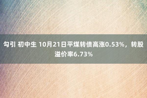 勾引 初中生 10月21日平煤转债高涨0.53%，转股溢价率6.73%