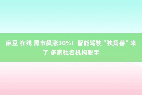 麻豆 在线 黑市飙涨30%！智能驾驶“独角兽”来了 多家驰名机构脱手