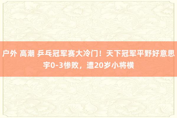 户外 高潮 乒乓冠军赛大冷门！天下冠军平野好意思宇0-3惨败，遭20岁小将横