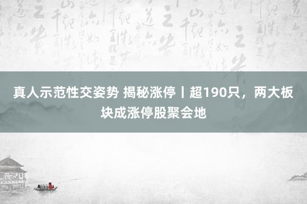 真人示范性交姿势 揭秘涨停丨超190只，两大板块成涨停股聚会地