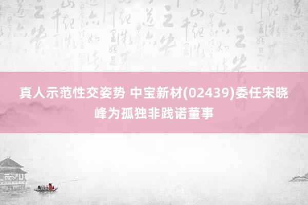 真人示范性交姿势 中宝新材(02439)委任宋晓峰为孤独非践诺董事