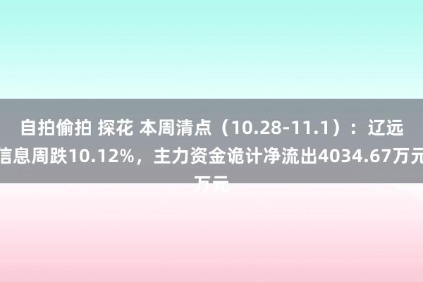 自拍偷拍 探花 本周清点（10.28-11.1）：辽远信息周跌10.12%，主力资金诡计净流出4034.67万元