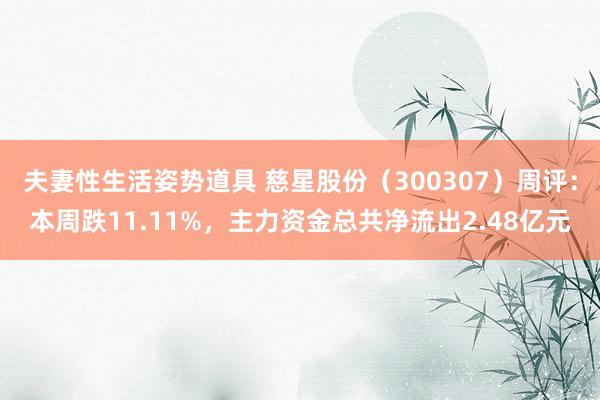 夫妻性生活姿势道具 慈星股份（300307）周评：本周跌11.11%，主力资金总共净流出2.48亿元