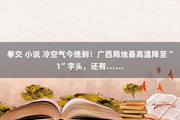 拳交 小说 冷空气今晚到！广西局地最高温降至“1”字头，还有……