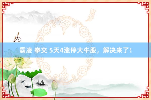 霸凌 拳交 5天4涨停大牛股，解决来了！