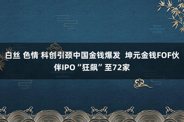 白丝 色情 科创引颈中国金钱爆发  坤元金钱FOF伙伴IPO“狂飙”至72家