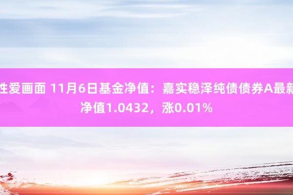 性爱画面 11月6日基金净值：嘉实稳泽纯债债券A最新净值1.0432，涨0.01%