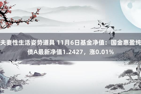 夫妻性生活姿势道具 11月6日基金净值：国金惠盈纯债A最新净值1.2427，涨0.01%