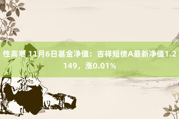 性高潮 11月6日基金净值：吉祥短债A最新净值1.2149，涨0.01%