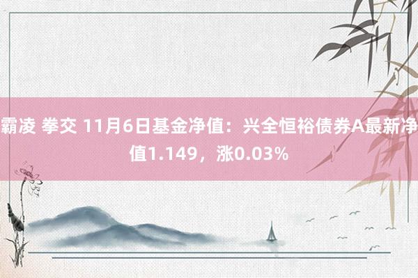 霸凌 拳交 11月6日基金净值：兴全恒裕债券A最新净值1.149，涨0.03%