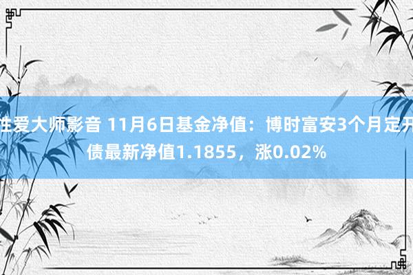 性爱大师影音 11月6日基金净值：博时富安3个月定开债最新净值1.1855，涨0.02%