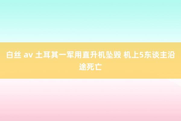 白丝 av 土耳其一军用直升机坠毁 机上5东谈主沿途死亡