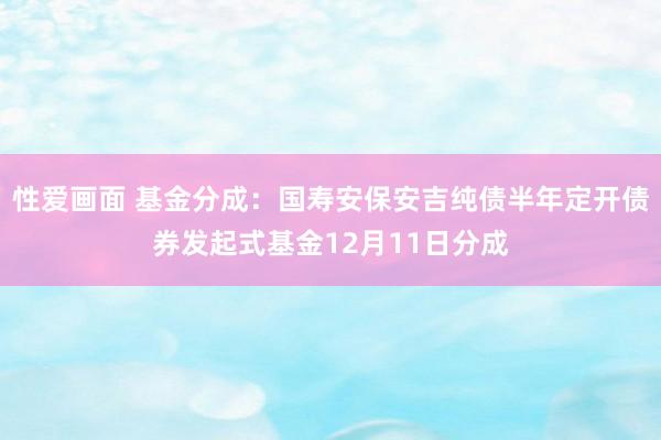 性爱画面 基金分成：国寿安保安吉纯债半年定开债券发起式基金12月11日分成