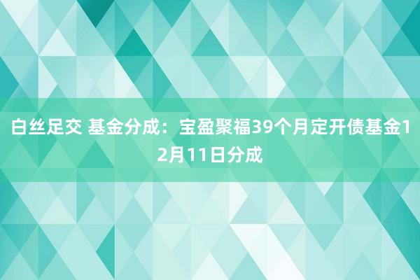 白丝足交 基金分成：宝盈聚福39个月定开债基金12月11日分成