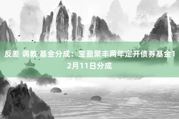 反差 调教 基金分成：宝盈聚丰两年定开债券基金12月11日分成