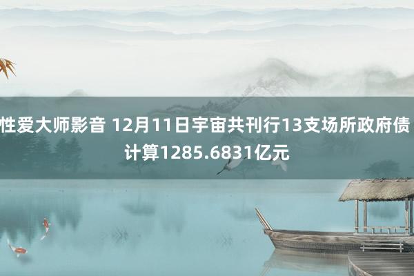 性爱大师影音 12月11日宇宙共刊行13支场所政府债 计算1285.6831亿元