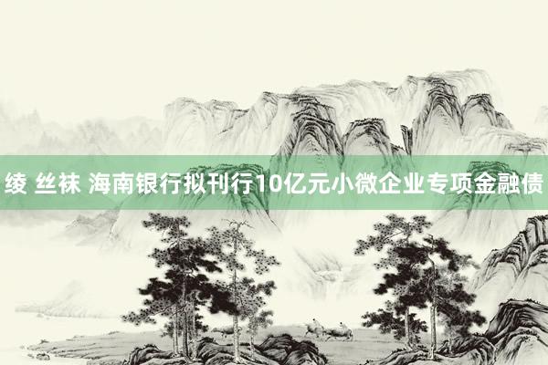 绫 丝袜 海南银行拟刊行10亿元小微企业专项金融债