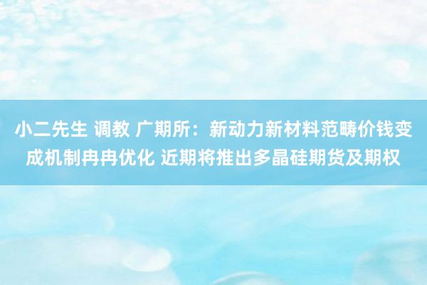 小二先生 调教 广期所：新动力新材料范畴价钱变成机制冉冉优化 近期将推出多晶硅期货及期权