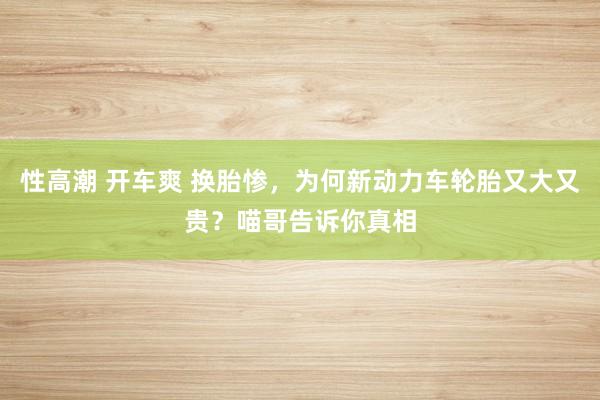 性高潮 开车爽 换胎惨，为何新动力车轮胎又大又贵？喵哥告诉你真相