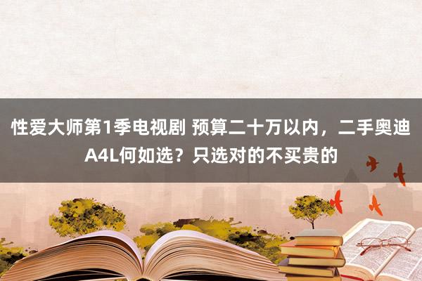 性爱大师第1季电视剧 预算二十万以内，二手奥迪A4L何如选？只选对的不买贵的