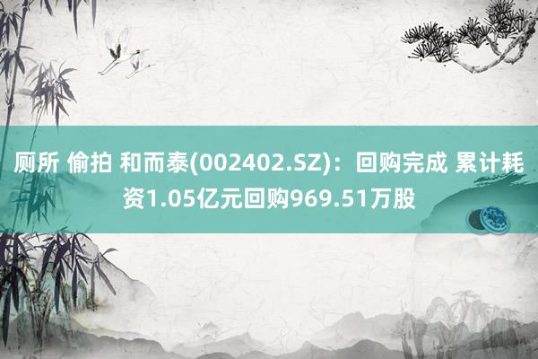 厕所 偷拍 和而泰(002402.SZ)：回购完成 累计耗资1.05亿元回购969.51万股