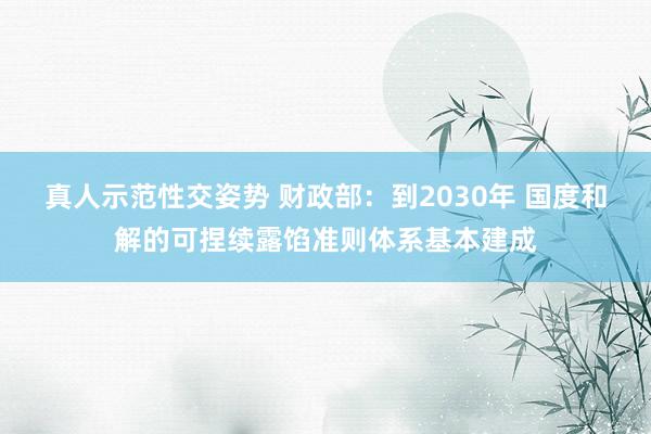 真人示范性交姿势 财政部：到2030年 国度和解的可捏续露馅准则体系基本建成