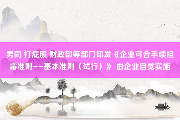 男同 打屁股 财政部等部门印发《企业可合手续袒露准则——基本准则（试行）》 由企业自觉实施